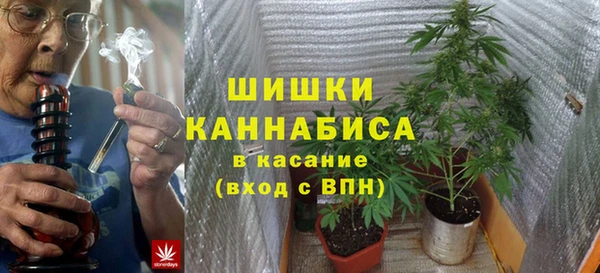 стаф Володарск