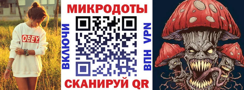 Купить где  Малоярославец  Псилоцибиновые грибы MAGIC MUSHROOMS 